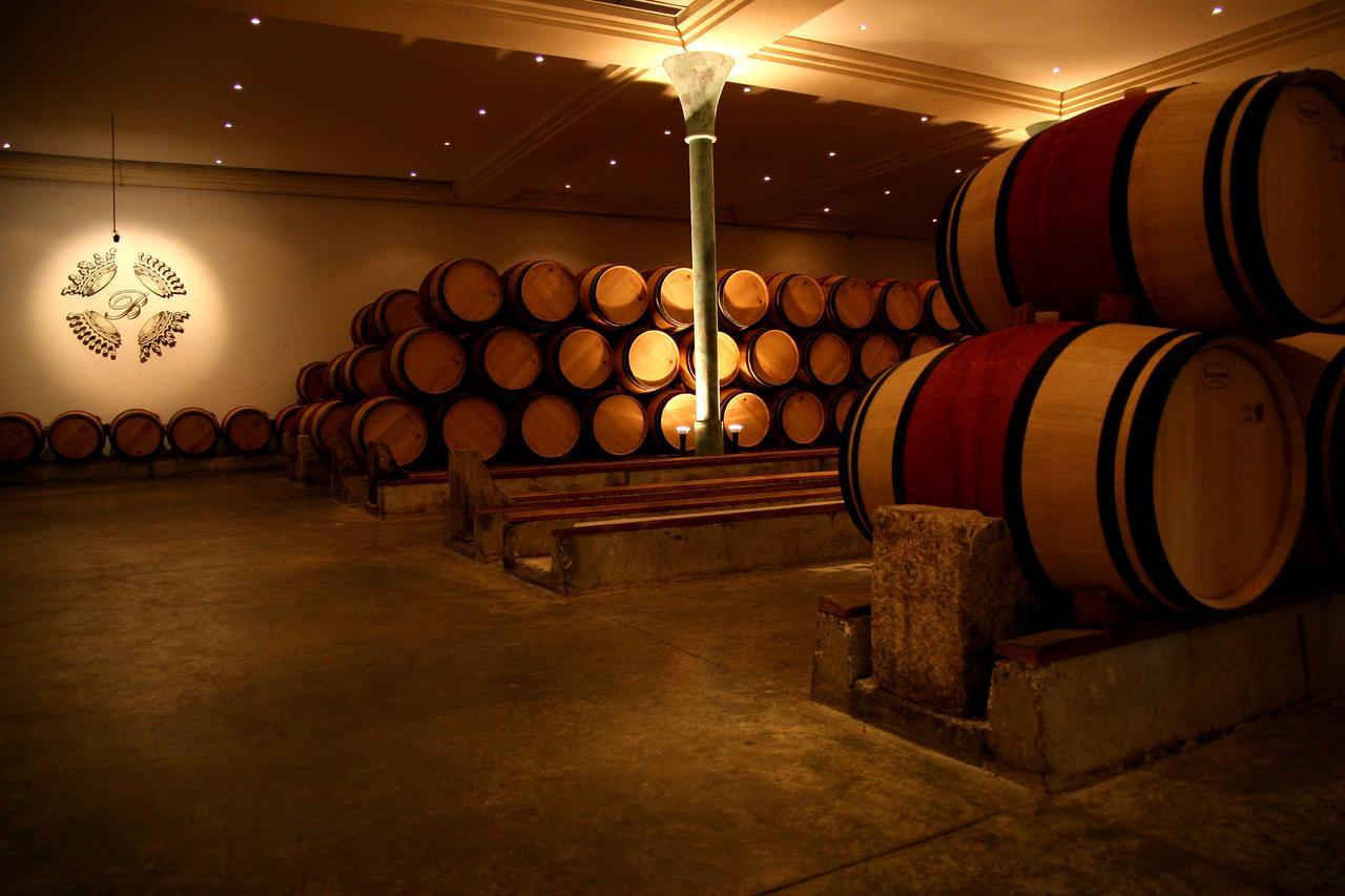 Bordeaux Village Blaye Kültér fotó