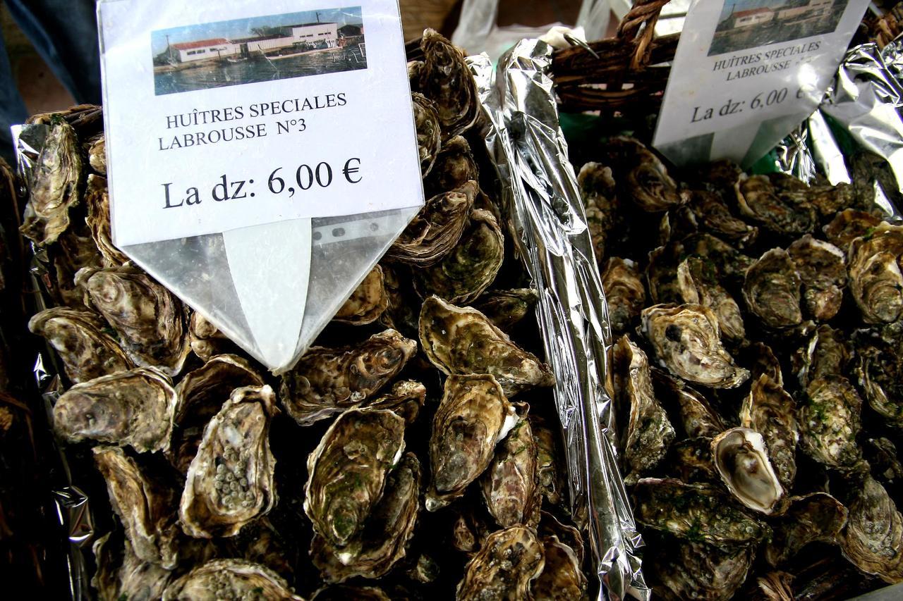 Bordeaux Village Blaye Kültér fotó